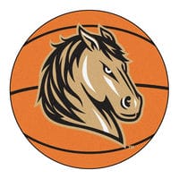 西南明尼苏达州立大学