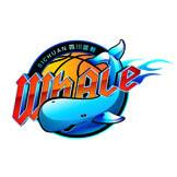 四川五粮金樽女篮