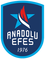 阿纳多卢艾菲斯