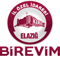 埃拉泽奥泽勒女篮