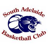 南阿德莱得黑豹